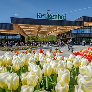 Keukenhof entrance preview image