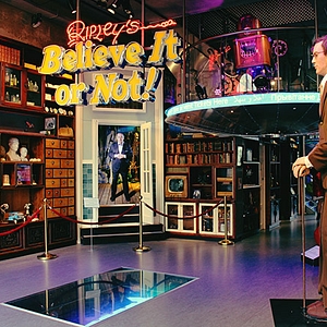 Ripleys Believe It or Not Amsterdam preview image entrance