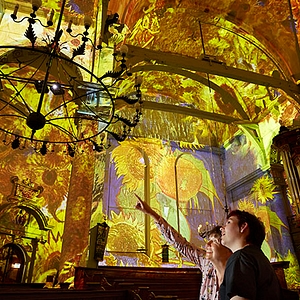 Van Gogh Rembrandt preview image sun flowers