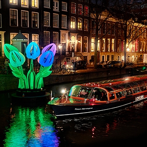 Amsterdam Light Festival preview image tulips