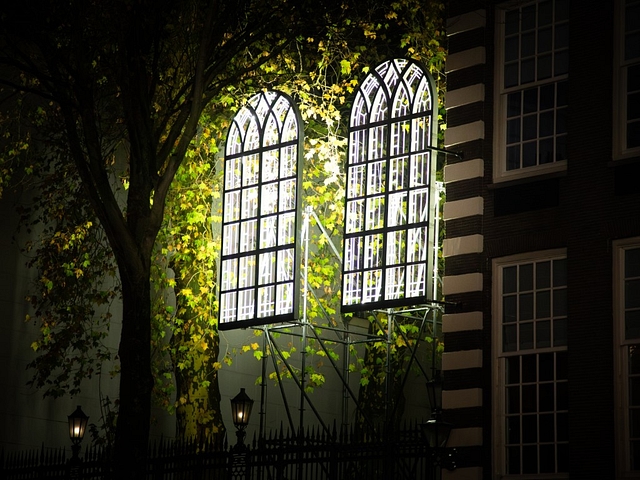 Amsterdam light festival artwork windows with plants