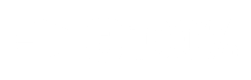 E 100